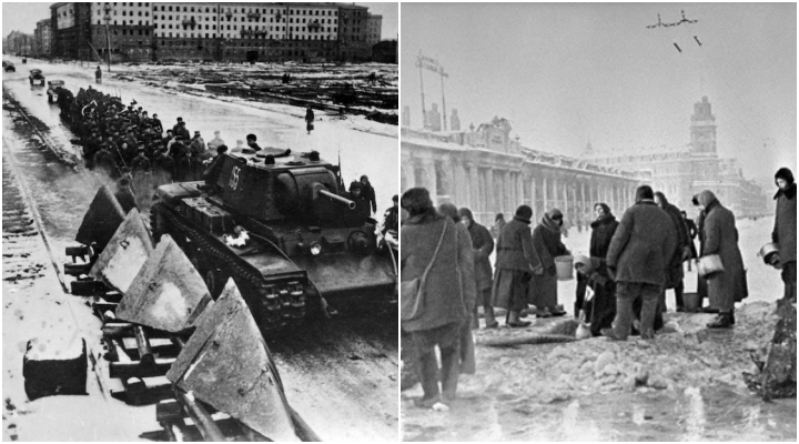 The siege of Leningrad: When Russian scientists starved themselves to death to preserve the future of the world, in a seed bank