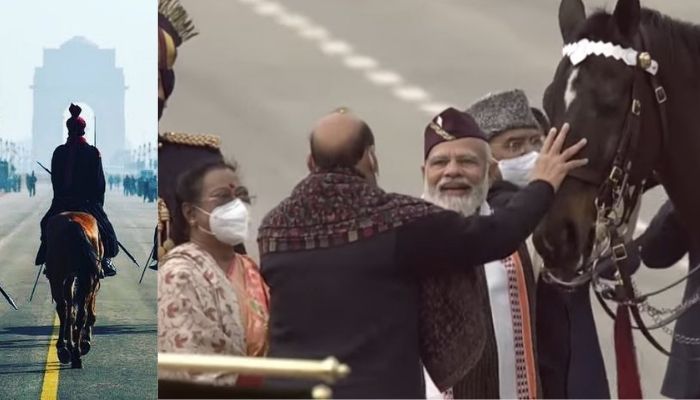 PM Modi’s warm farewell to Virat, the Commandant’s Charger from President’s Bodyguard who is retiring this year