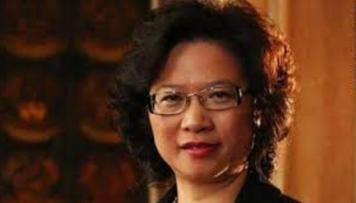 British security agency MI5 issues ‘interference alert’, says Chinese lawyer is trying to influence politicians on behalf of China