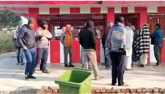 thieves killed dogs before looting