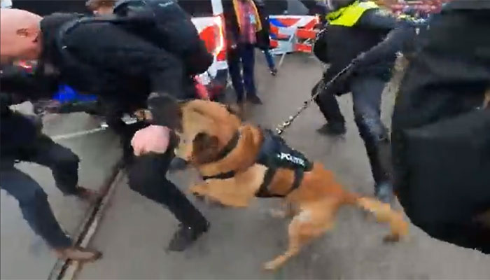 Netherlands: Police dog mauls protester as a demonstration against lockdown orders turns violent