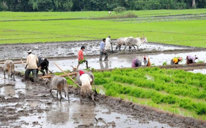 Union Budget BE less that previous year because of free distribution of grains under PMGKY
