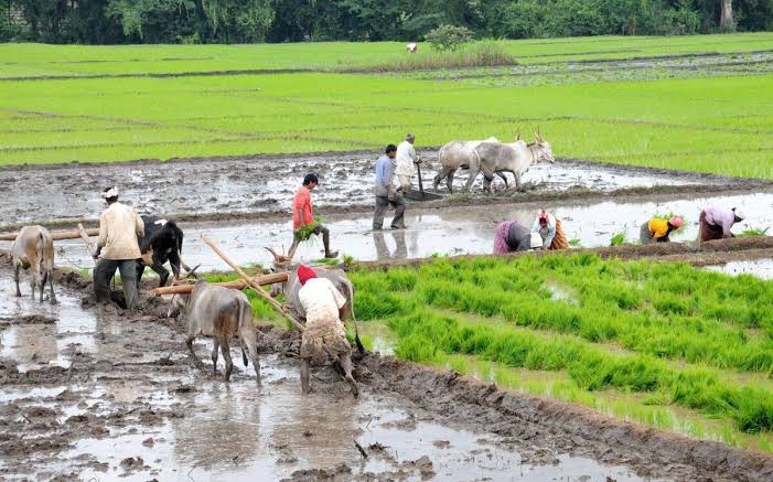 Additional foodgrain distributed under PMGKY scheme: Centre explains why budget estimate for food subsidy is lower than 2021-22