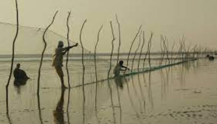 Seven more Pakistani fishing boats captured in Harami Nala in Gujarat: Read how the water channel got its name and the Sir Creek dispute