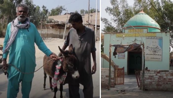 A holy tomb in Pakistan’s Sindh where male donkeys are offered to fulfil the desire of a male child