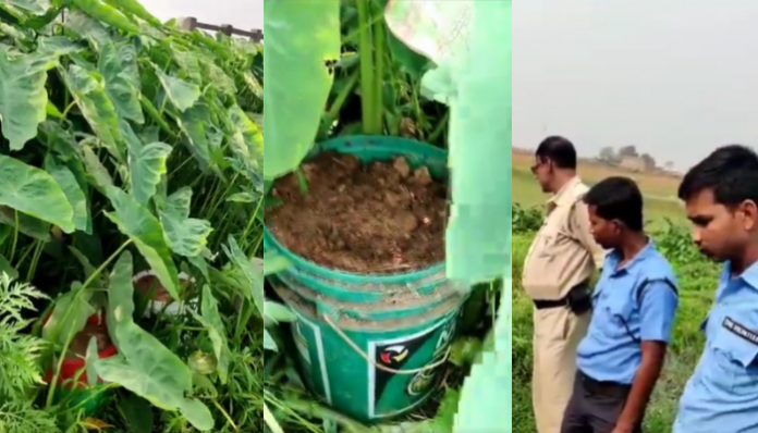 West Bengal: 200 crude bombs recovered, days after Birbhum violence