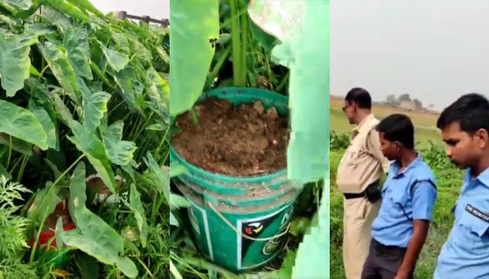Days after Birbhum violence, cops seize 200 crude bombs from Margram: Here is what we know so far