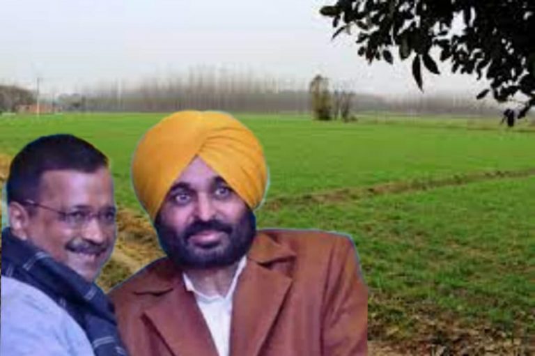 40 acres of wheat fields being cleared for building parking lot for AAP CM designate Bhagwant Mann’s oath-taking ceremony: Report