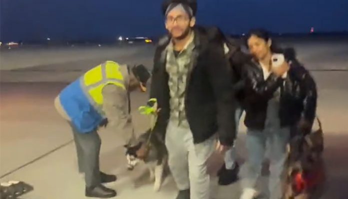 Students leaving Ukraine allowed to bring pets back to India