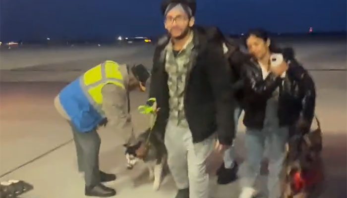 ‘Leave no one behind’: Indian students allowed to bring pet animals along in evacuation flights. Watch visuals