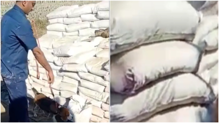 Gujarat: ATS, DRI seize heroin worth Rs 2500 crores at Kandla port, drugs were smuggled from Afghanistan via Iran