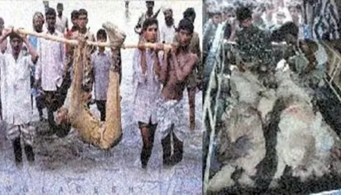 Boraibari: When Bangladesh Rifles killed BSF jawans with impunity in 2001