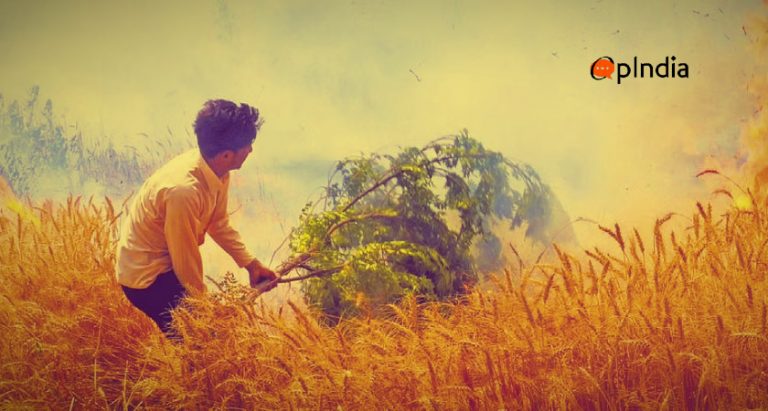 More than a dozen farmers commit suicide in Punjab in less than a month, low crop yield and higher loan amounts responsible: Report