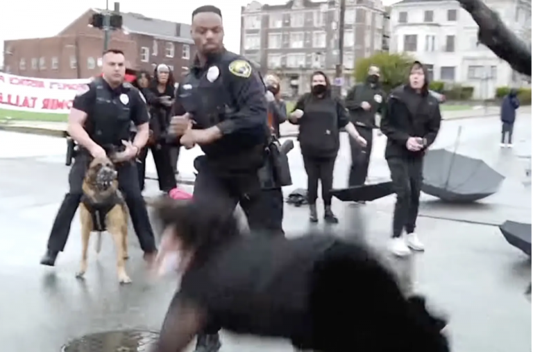 United States: Black Pennsylvania cop punches a BLM protester at rally against police violence, video goes viral