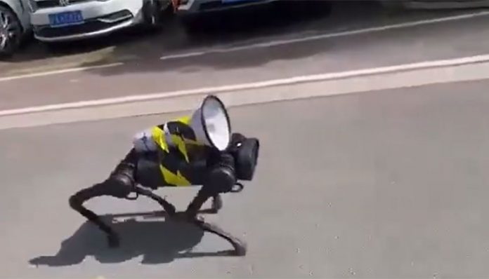 Chinese Robot Dog