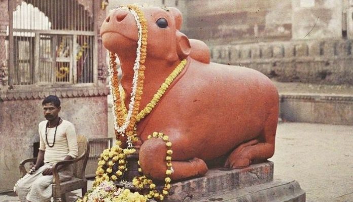 Nandi