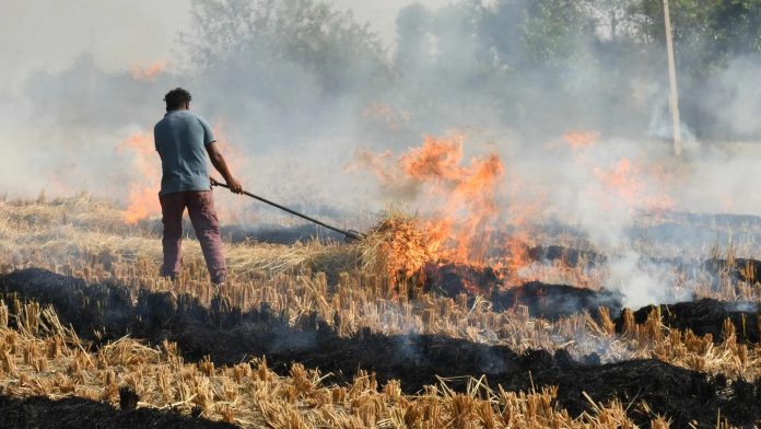 Delhi govt spends 99% of funds to tackle stubble burning on ads
