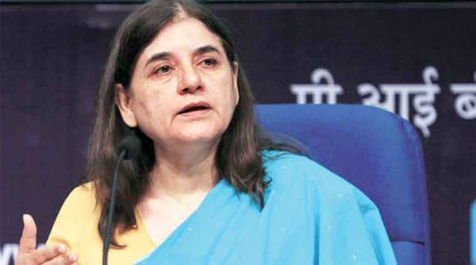 Maneka Gandhi supports IAS couple transferred for 'dog-walking' in Stadium