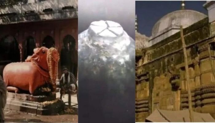 Self-manifested Jyotirlinga of Lord Adi Vishweshwara lies 100 feet below the surface at the disputed Gyanvapi site: Advocate Rastogi in Court