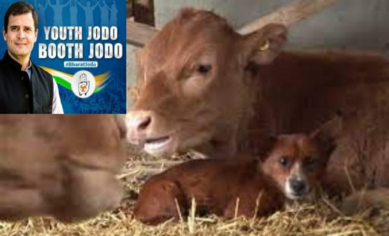 Dogs, cats and cows have ‘voted’ in the app-based internal elections of the Chhattisgarh Youth Congress: Reports