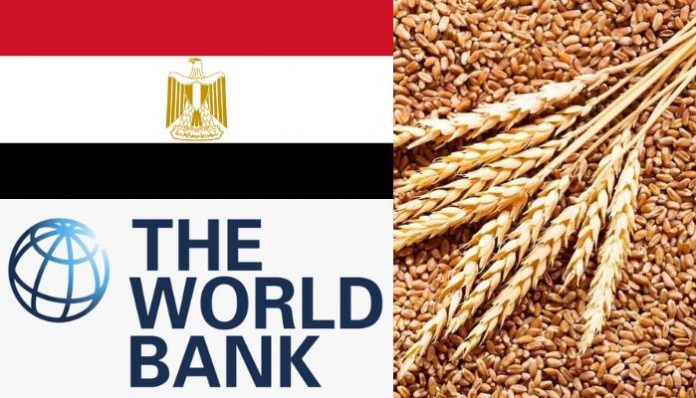 Egypt Wheat Imports