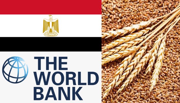 In dire need of wheat, Egypt seeks $500 million from World Bank for its food program, to buy 5 lakh tonnes from India