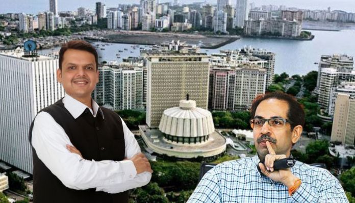 MLC elections