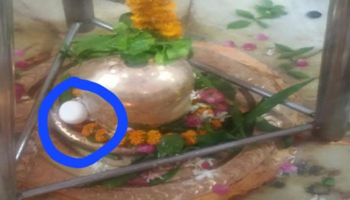 UP: Miscreants place egg on Shivling in Prayagraj, desecrate temple