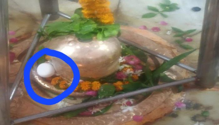 Uttar Pradesh: Egg placed on Shivling in Prayagraj sparks row