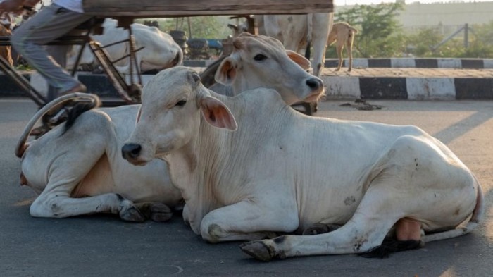 Karnataka government warns against slaughtering cows on Bakri Eid