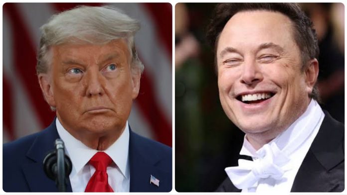 Trump musk