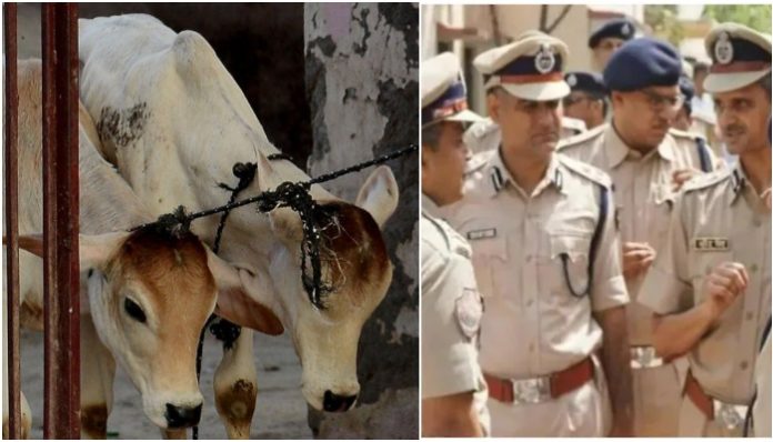 Clashes erupt in Hanumangarh over cow slaughter on July 11, sec 144 imposed