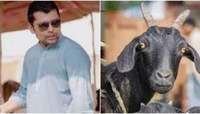 Kamran Akmal