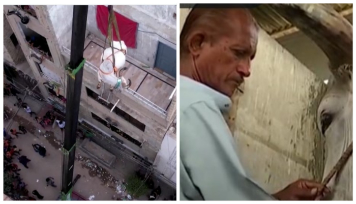 Pakistan: Cow for slaughter hoisted to rooftop ahead of Eid-al-Adha, onlookers call the animal cruelty ‘enjoyment’