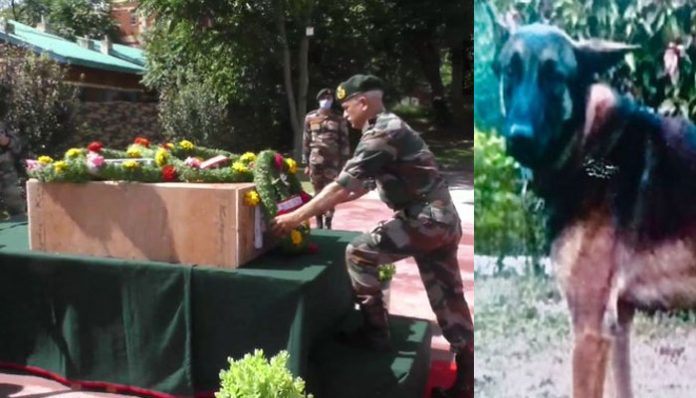 Army Dog Axel attained martyrdom