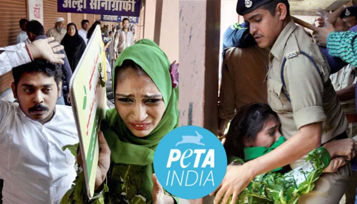 Peta India activists were assaulted in 2014 for protesting against animal sacrifice on Eid