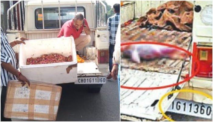 Chandigarh Municipal Corporation accused of using the same vehicle to transport meat and temple flowers, BJP demands action