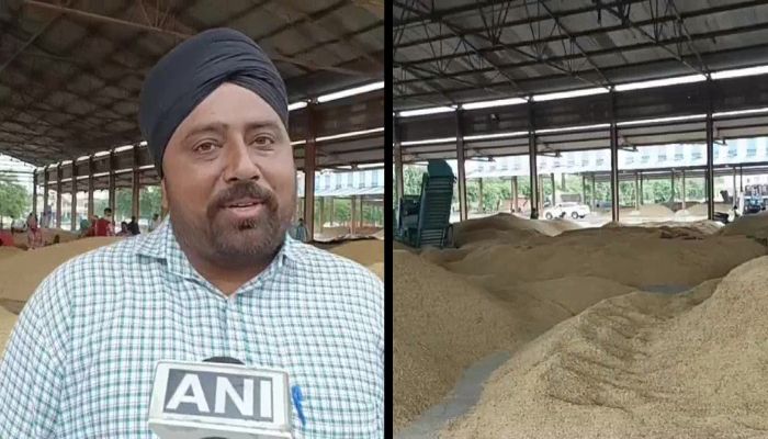 Haryana: Farmers suffer as Arhtiyas hold an indefinite strike against transparency in procurement of paddy. Read details