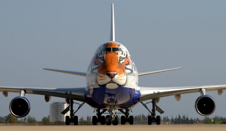 Fact-check: An aircraft was not specially painted to bring 8 cheetahs to India, read details about the Boeing 747 with Siberian tiger face