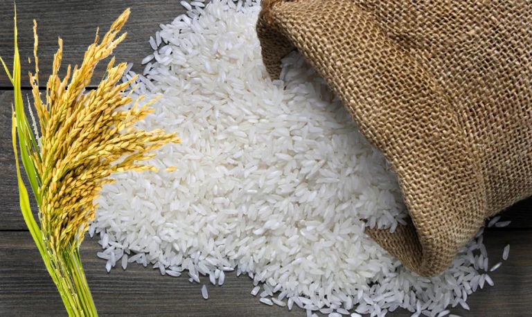 Export of broken rice banned by India: As media and politicians spread propaganda, here is how the move is necessary for India