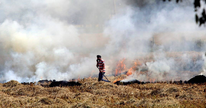 Stubble-burning incidents in Punjab record a 20 percent rise, plunging Delhi’s AQI to ‘very poor’ category