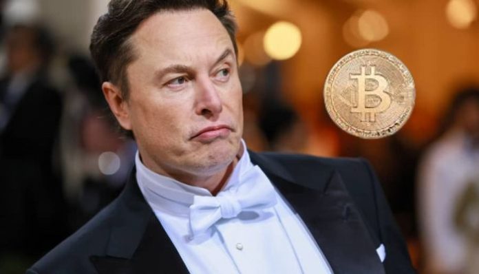 Hackers impersonate as Elon Musk from Indian Embassy Twitter handle