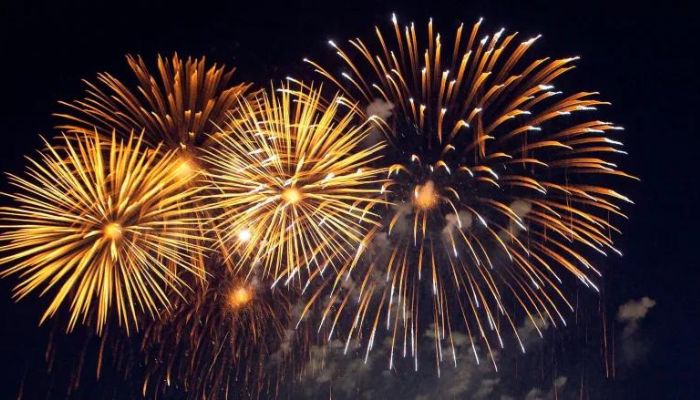 ‘Environment Canada’ singles out Diwali fireworks for poor air quality, retracts statement later
