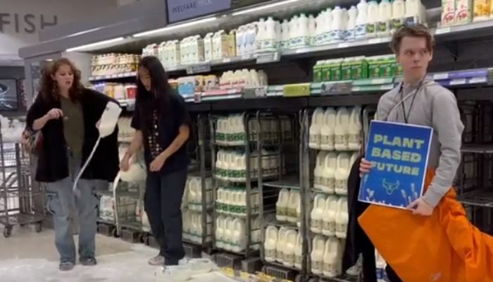 ‘Animal cruelty’ activists in the UK spill milk in supermarkets to protest against dairy industry, irk even the vegans with this wastage of food