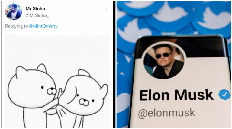Twitter blocks user for Tom and Jerry GIF, then suspends for cat GIF available on its own platform: Will Elon Musk be able to fix the systemic issues?
