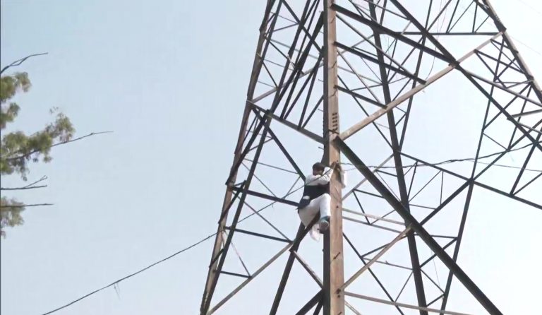 AAP leader climbs atop electricity transmission tower after being denied a ticket for MCD polls, says party sold tickets for Rs 3 Crores