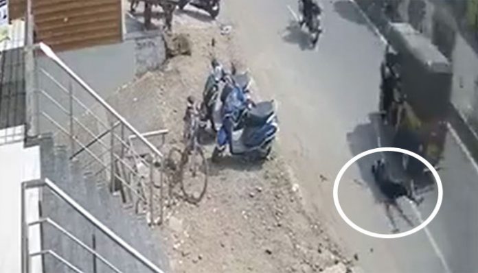 Minor Girl Jumps off Auto
