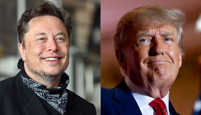 Elon Musk Donald Trump