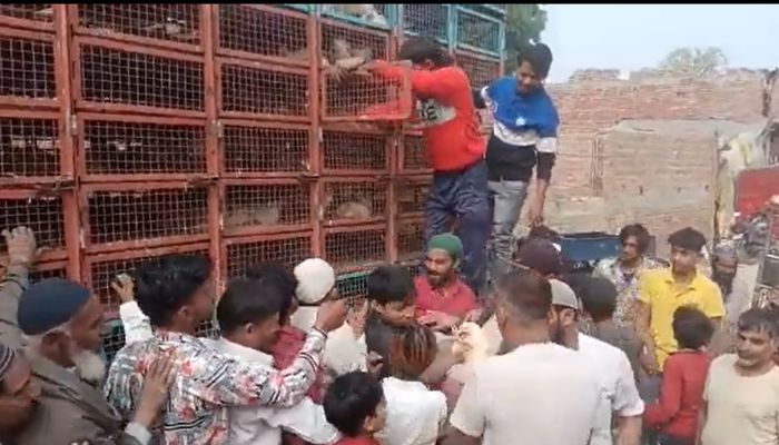 UP: Just before municipality elections, ex-chairperson Haji Islam distributes chickens among voters