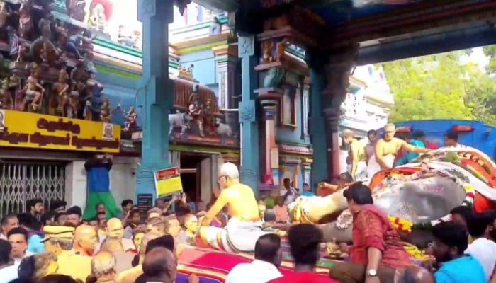 Puducherry: Elephant Laxmi of Manakula Vinayagar temple dies suddenly, activists allege sabotage by PETA and others